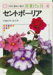 セントポーリア　NHK趣味の園芸・作業12か月　30　