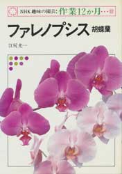 ファレノプシス　胡蝶蘭　NHK趣味の園芸・作業12か月　32　