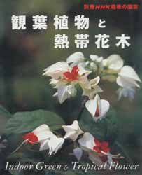 観葉植物と熱帯花木　別冊NHK趣味の園芸